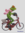 Froschfrau auf Fahrrad